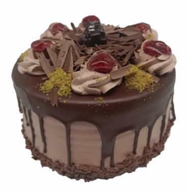 Usta Ellerden Cikan Gunluk Yogun Cikolatali Butik Pasta_26_1771311269